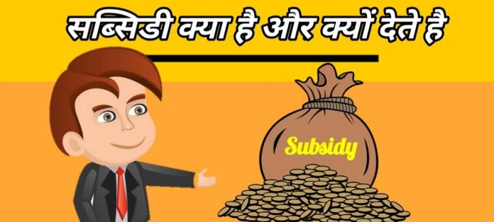what is subsidy in hindi