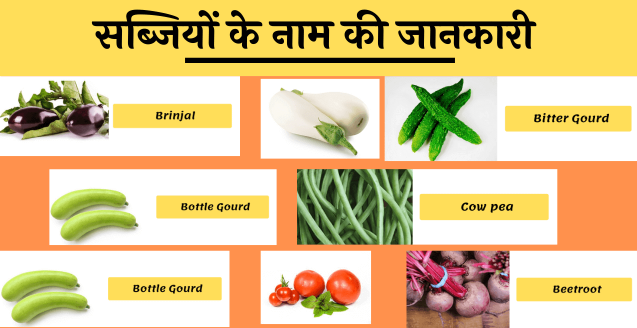 All Vegetable Name List-सब्जियों के नाम - NewsMeto