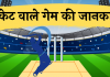 cricket wala game