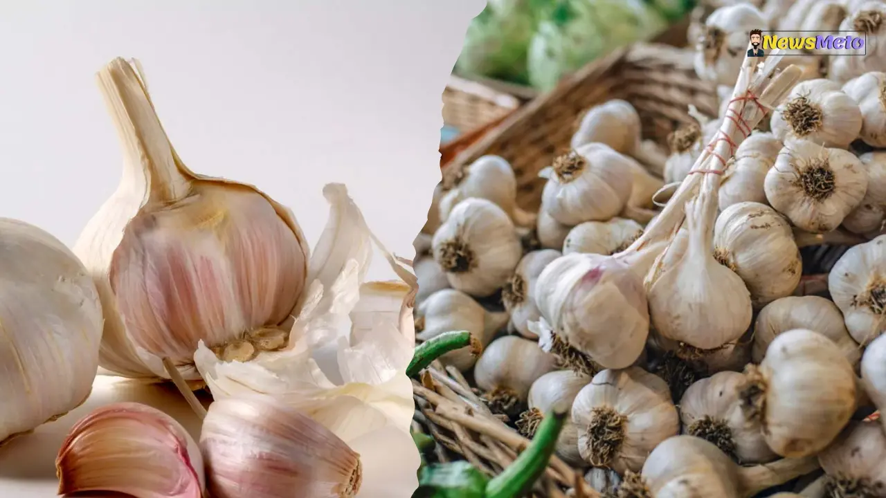 Dr. Saleem Zaidi Explains Why Eating Garlic This Way Doubles Its Benefits